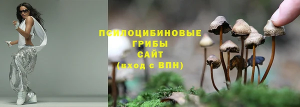 прущие крисы Елизово