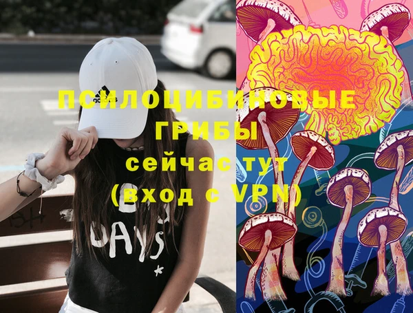 MDMA Premium VHQ Ельня