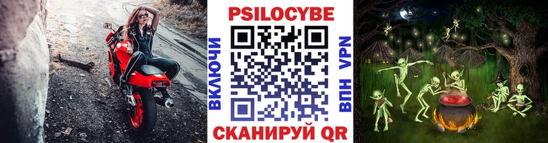 Купить  Аткарск  Псилоцибиновые грибы Cubensis 